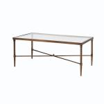 Glass and Metal Rectangle Porter Coffee Table