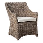 Vienna Woven Rattan and Mango Wood Accent Chair