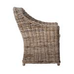 Vienna Woven Rattan and Mango Wood Accent Chair