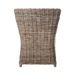 Vienna Woven Rattan and Mango Wood Accent Chair