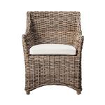 Vienna Woven Rattan and Mango Wood Accent Chair