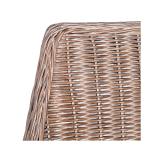 Rattan and Mahogany Accent Chair with Cushion