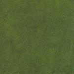 Green Velvet Upholstered Black Legs Accent Chair