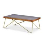 Modern Mango Wood Brass Coffee Table