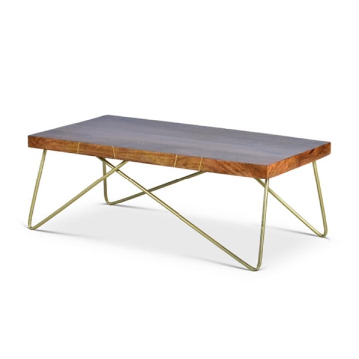 Modern Mango Wood Brass Coffee Table