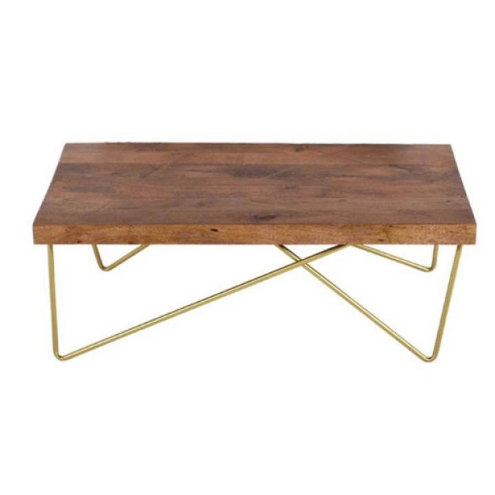 Modern Mango Wood Brass Coffee Table