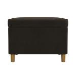 Chocolate Brown Velvet Rectangle Storage Ottoman