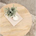 Natural Mango Wood Round Kershaw Coffee Table