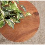 Walnut Brown Mango Wood Round Kershaw Accent Table