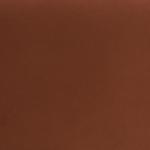 Rust Velvet Upholstered Knox Accent Chair