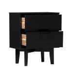 Midnight Black Wood 2-Drawer Modern Nightstand