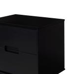 Midnight Black Wood 2-Drawer Modern Nightstand