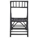 Black Rattan Maya Folding Chairs, Set of 2