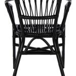 Black Rattan Aria Coastal Accent Chairs, Set of 2