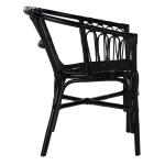 Black Rattan Aria Coastal Accent Chairs, Set of 2