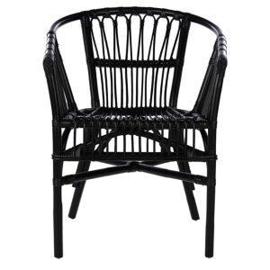 Black Rattan Aria Coastal Accent Chairs, Set of 2
