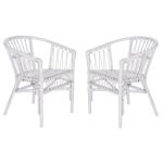 White Rattan Aria Coastal Accent Chairs, Set of 2