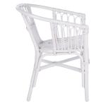 White Rattan Aria Coastal Accent Chairs, Set of 2