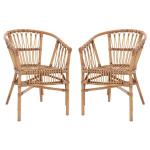 Brown Rattan Aria Coastal Accent Chairs, Set of 2