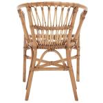 Brown Rattan Aria Coastal Accent Chairs, Set of 2