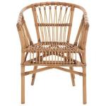 Brown Rattan Aria Coastal Accent Chairs, Set of 2