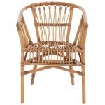 Brown Rattan Aria Coastal Accent Chairs, Set of 2