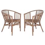 Gray Rattan Aria Coastal Accent Chairs, Set of 2