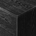 Black Contemporary 2-Door TV Stand