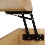 Teagan Natural Rattan Lift-Top Coffee Table