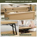 Teagan Natural Rattan Lift-Top Coffee Table