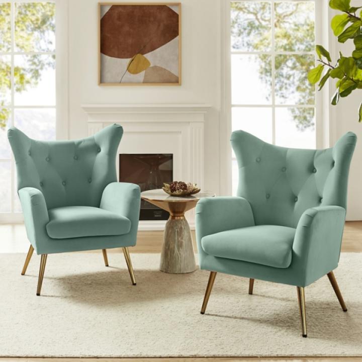 Danel Sage Tufted Wingback Accent Chair