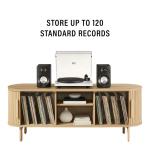 Ambrose Record Storage Media Console