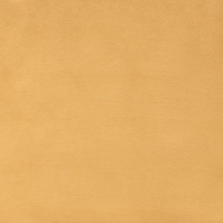 Yellow Tufted Tammy Dining Chairs, Set of 2